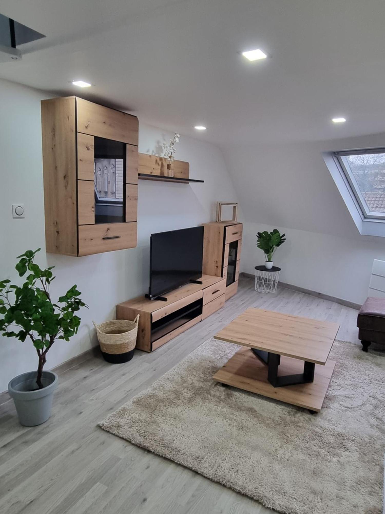 Bel Appt Centre Ville /Gare Belfort Ngoại thất bức ảnh